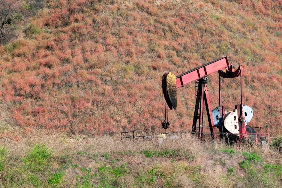 Industrial oil pumpjack in a rural field with colorful vegetation.